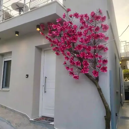 Private Magnolia City-jacuzzi Villa Argosztóli