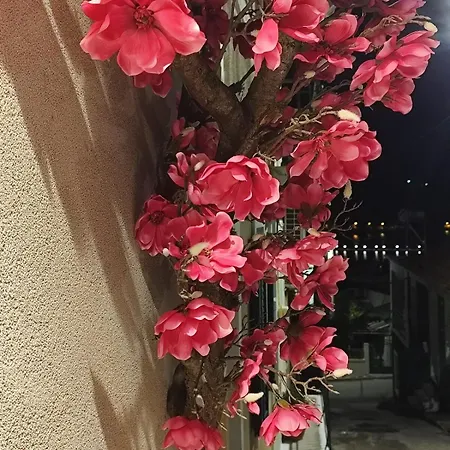 Villa Magnolia City-jacuzzi *